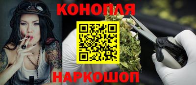 ALPHA PVP Гай