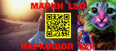 ешки Гатчина