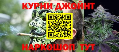ешки Гатчина