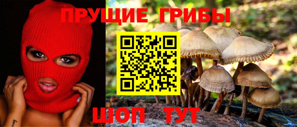 где продают наркотики  Псилоцибиновые грибы мухоморы  Вход с VPN  Нерюнгри 