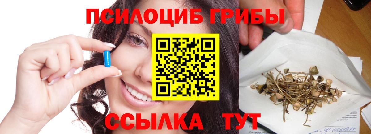Псилоцибиновые грибы Cubensis Нерюнгри